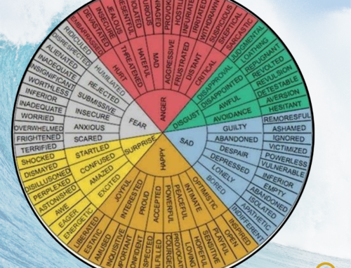 Emotions Wheel Quote