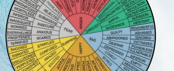 Wheel with 6 core emotions surrounded by synonyms and intensity of each core emotion.