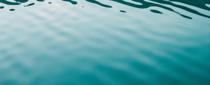 Tranquil waters